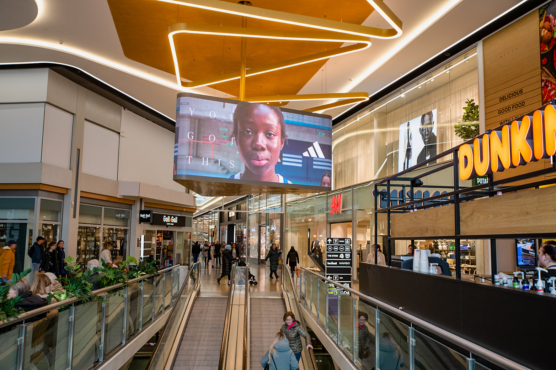 adidas_rotterdam_alex_iv