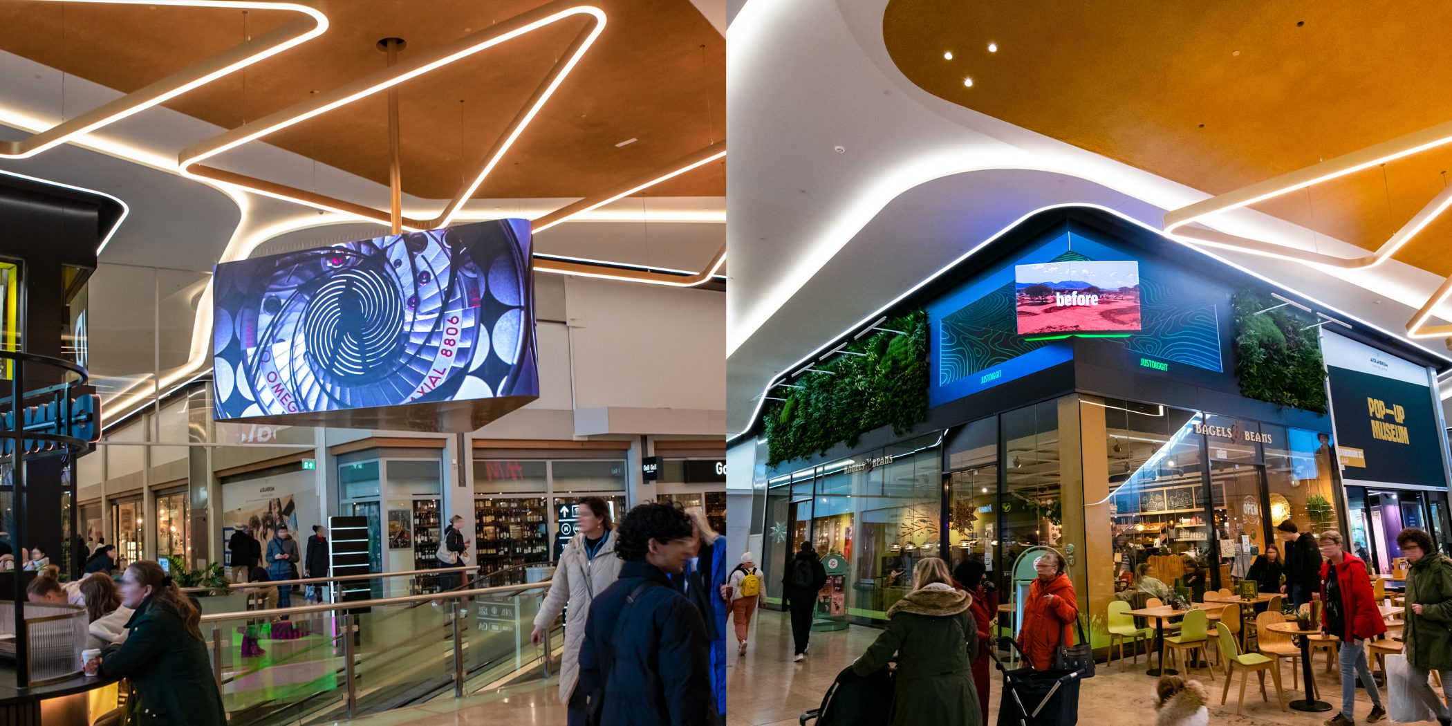 alexandrium-launch_image